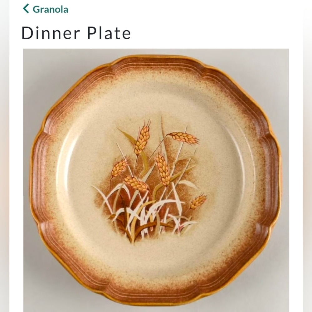#3 [MIKASA] (2) Dinner Plates: Mikasa Whole Wheat E8001 [3 of 3 pairs]